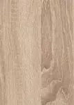 Дуб Сонома
