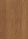 Ольха Горная