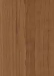 Ольха Альпийская