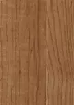 Ольха Приморская