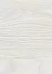 Вяз Каньон