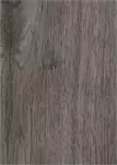 Дуб Ротенбург