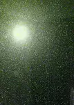 Хамелеон Султан