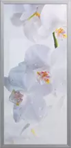 Рамка узкая со вставкой<br>из стекла с фотопечатью