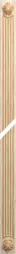 Канелюр фронтальный 50